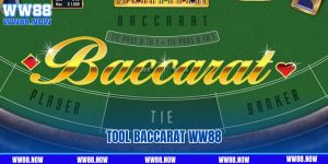 Tìm Hiểu Cơ Bản Về Tool Baccarat WW88 Dành Cho Người Chơi